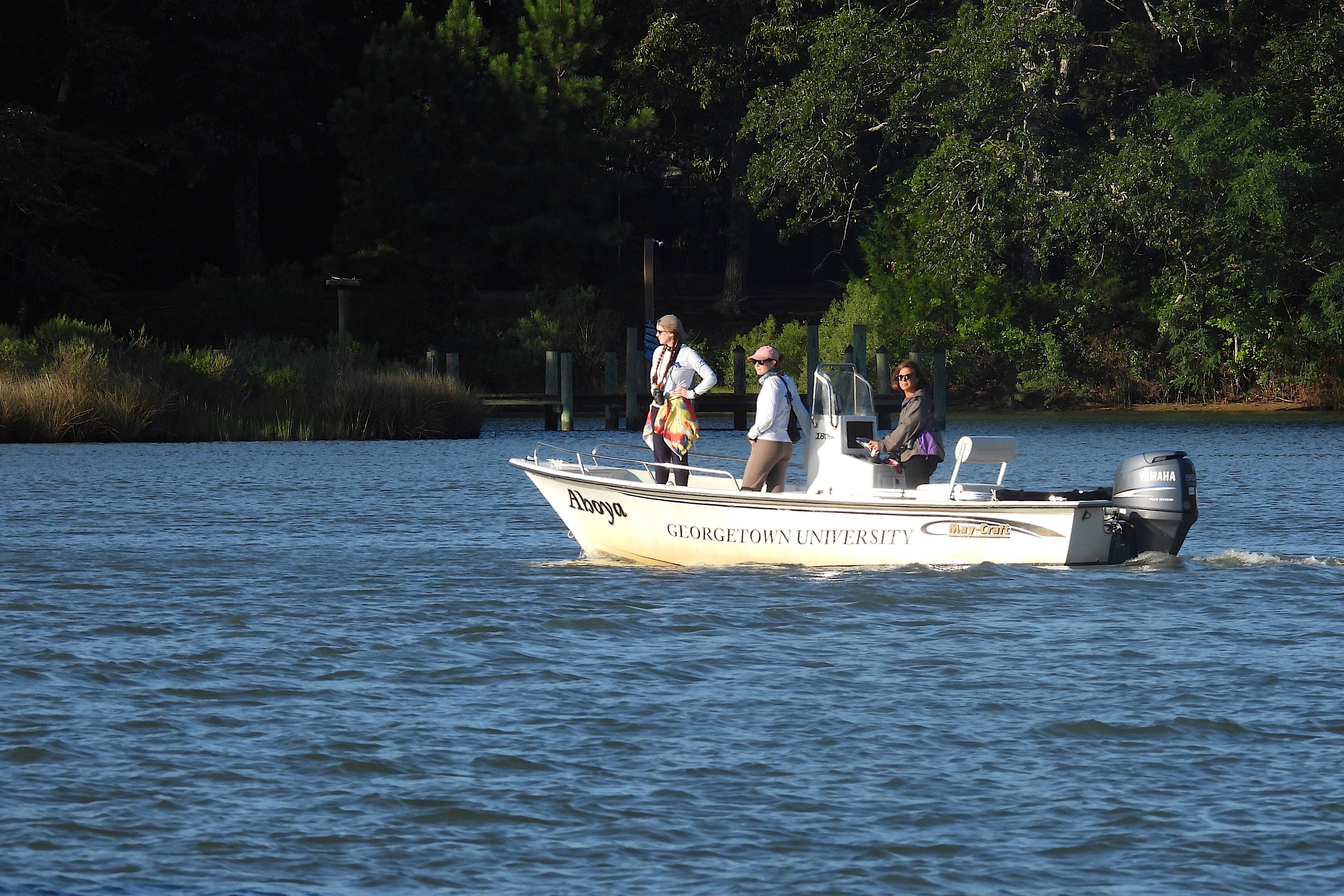 Dolphin Disease Detectives