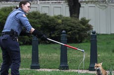 Fox that attacked and bit members of Congress on Capitol Hill had rabies, officials confirm