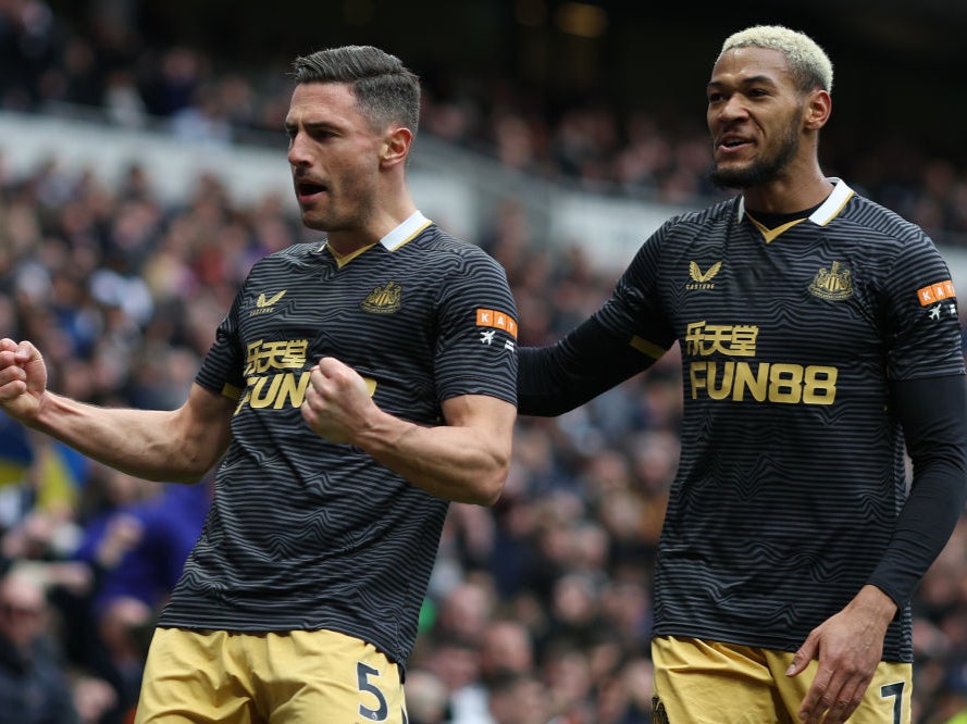 Newcastle are looking to bounce back from defeat to Tottenham