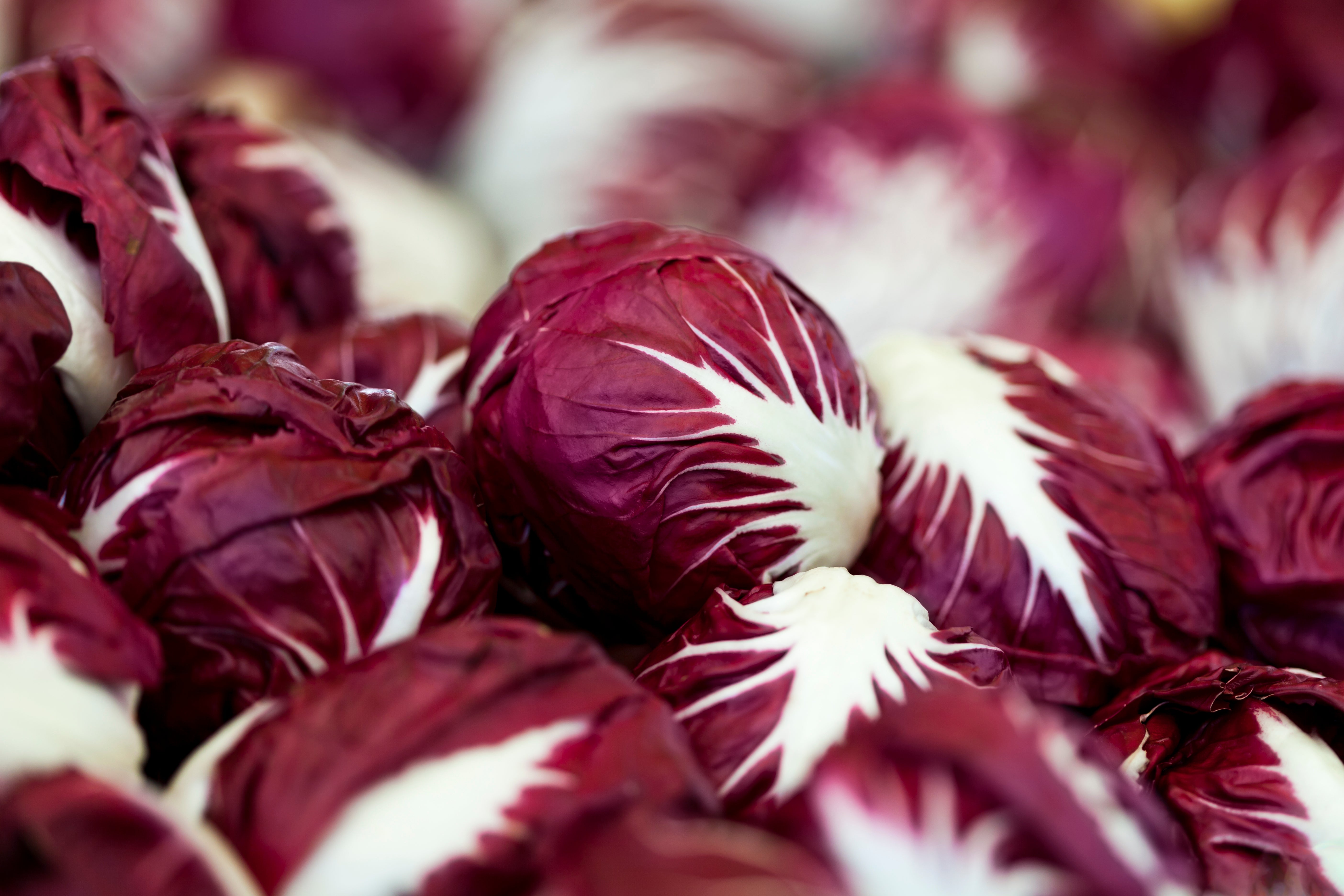 Chicories are known for a bitterness that can range from mild to assertive