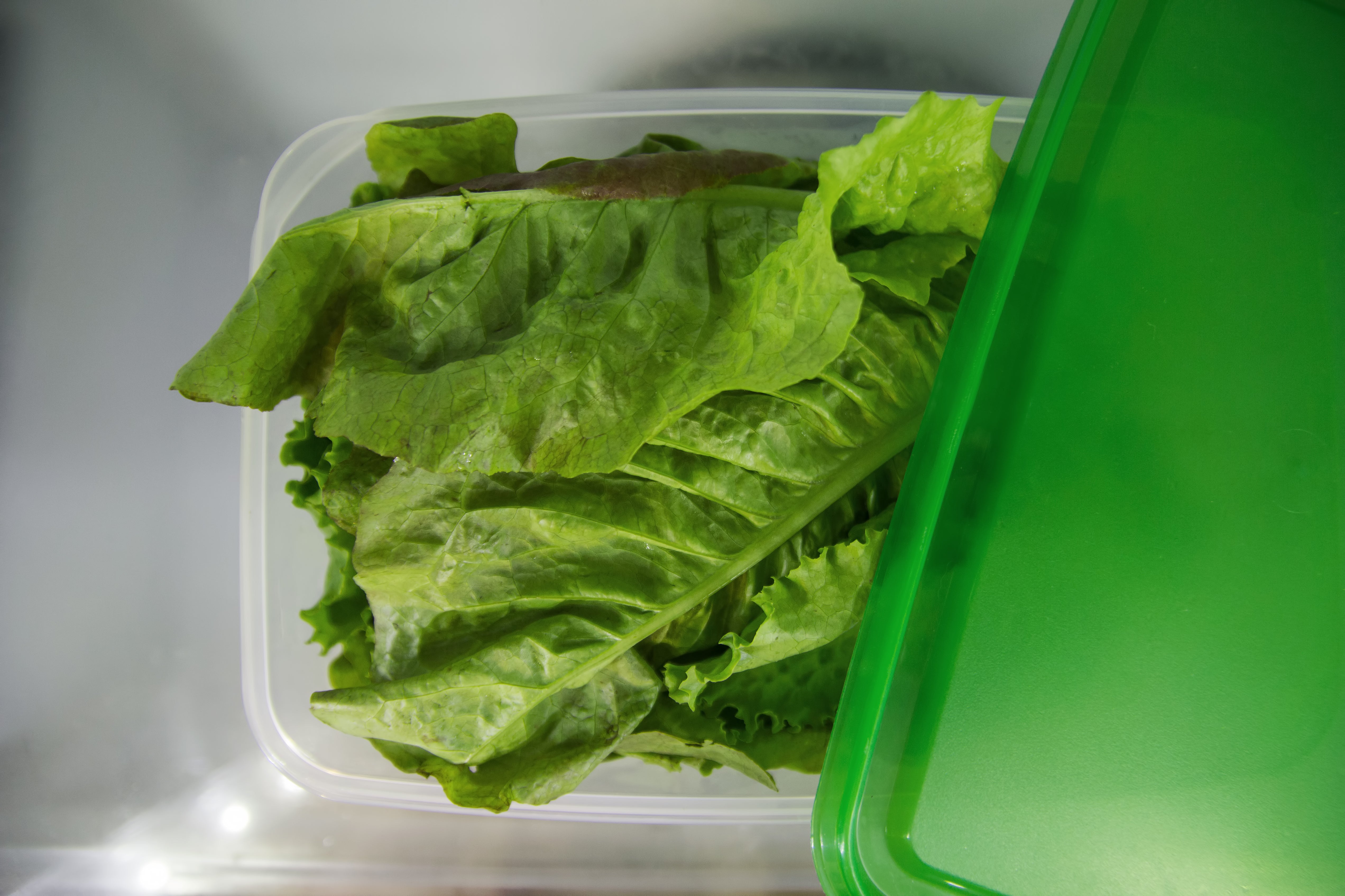 Loose leaves are best kept in a hard, sealed container