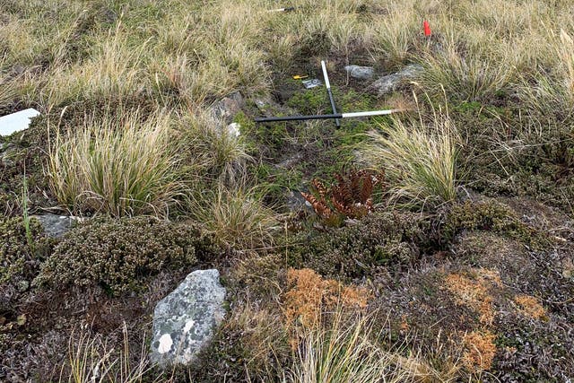 Veterans and archaeologists are working together on the first archaeological survey of Falklands battlegrounds (Falklands War Mapping Project/PA)