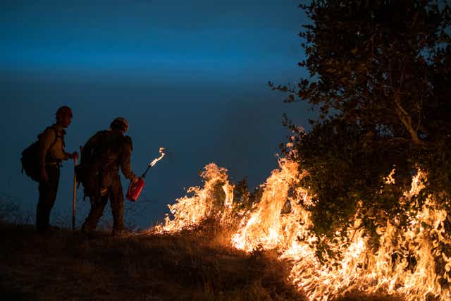 California Wildfire-Condor Sanctuary Burns
