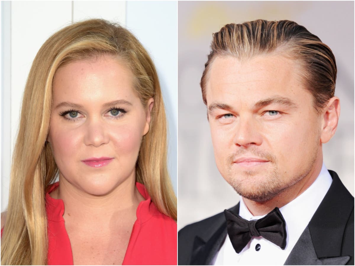 Amy Schumer denies stealing Leonardo DiCaprio joke that drew gasps at Oscars