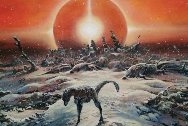 This picture illustrates a scene from northern Laurentia (North America) in the period a few weeks after the Chicxulub impact showing the onset of freezing weather and skies loaded with sulfur aerosols. The focus is on the last surviving dinosaurs – here a pair of T-Rex chicks, which somehow survived the initial impact phenomena, but which will soon succumb to the cold. (Image Credit ©James McKay – Creative Commons/PA)