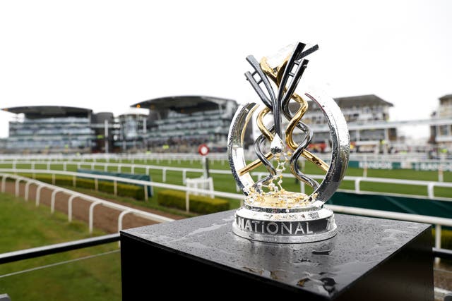 The Grand National trophy on display at Aintree Racecourse (Steven Paston/PA)
