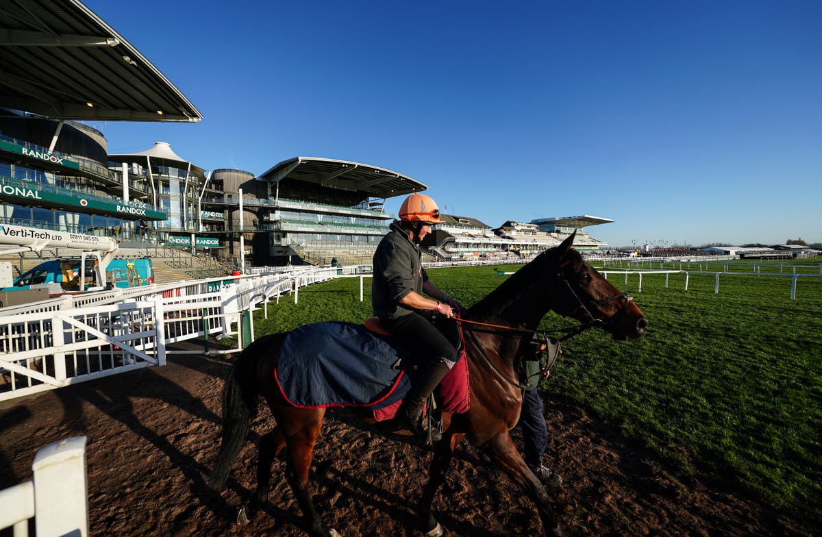 ‘Highly offensive’ advert calling food supplement for female horses ‘Slut Mix’ banned