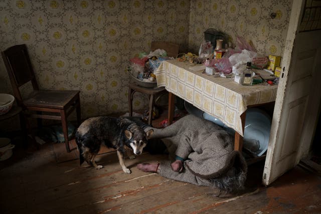 <p>A dog stands next to the body of an elderly woman who was killed inside a house in Bucha</p>