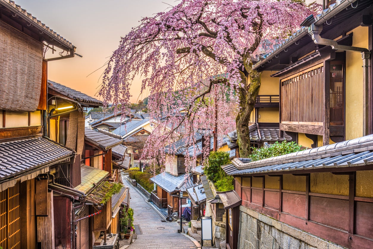 Kyoto in spring: tourists may have to wait for summer or autumn to return