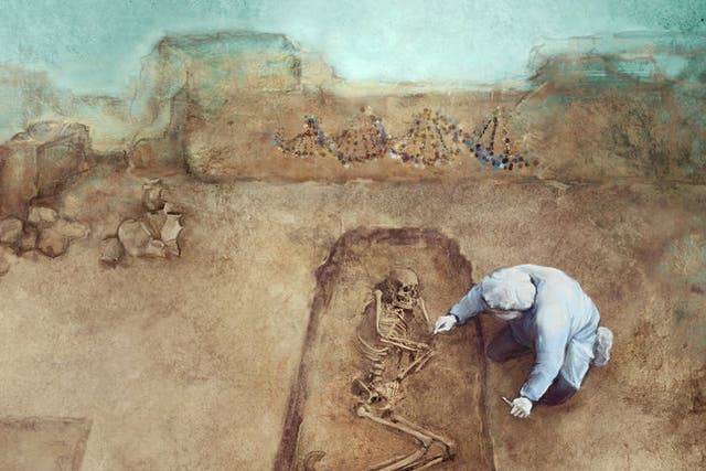 <p>Researchers have analysed prehistoric human bones to shine a light on the impacts of the agricultural revolution</p>