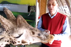 Ukraine zookeeper dodging Russian shelling to save animals pleads for international help