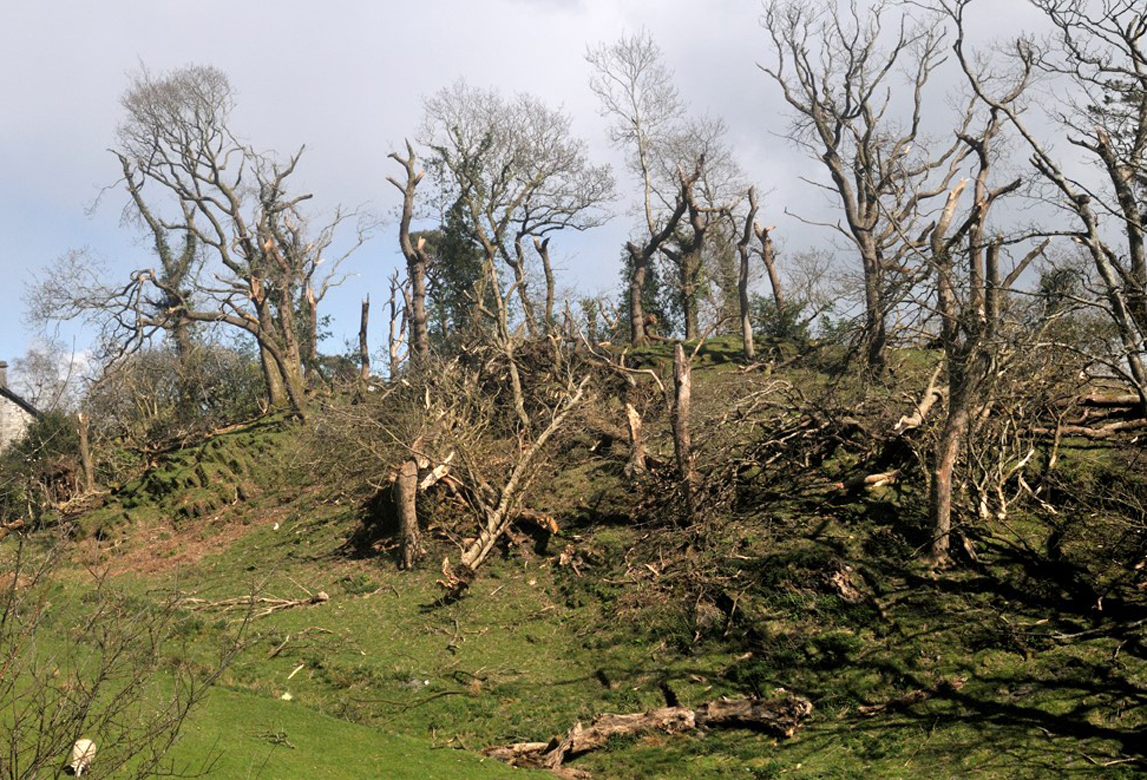 Damage to Gogarth Hall Farm in Pennal, Machynlleth, after a tornado (John Mason/PA)