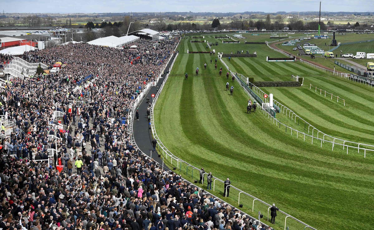 Grand national race. Aintree Green. Grand National. Грядь на big Race.