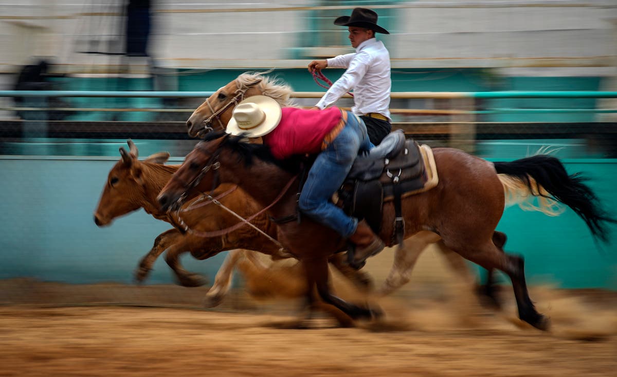 El Rodeo Tenerife Rodeo en Cuba, una pasión que resiste a las dificultades | Independent ...