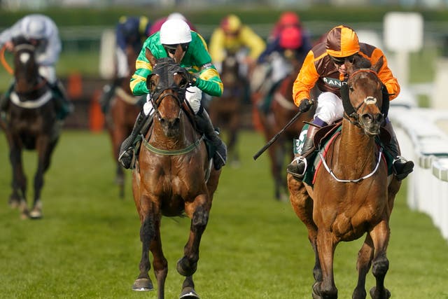 <p>Betting site users reported problems following the Grand National on Saturday</p>