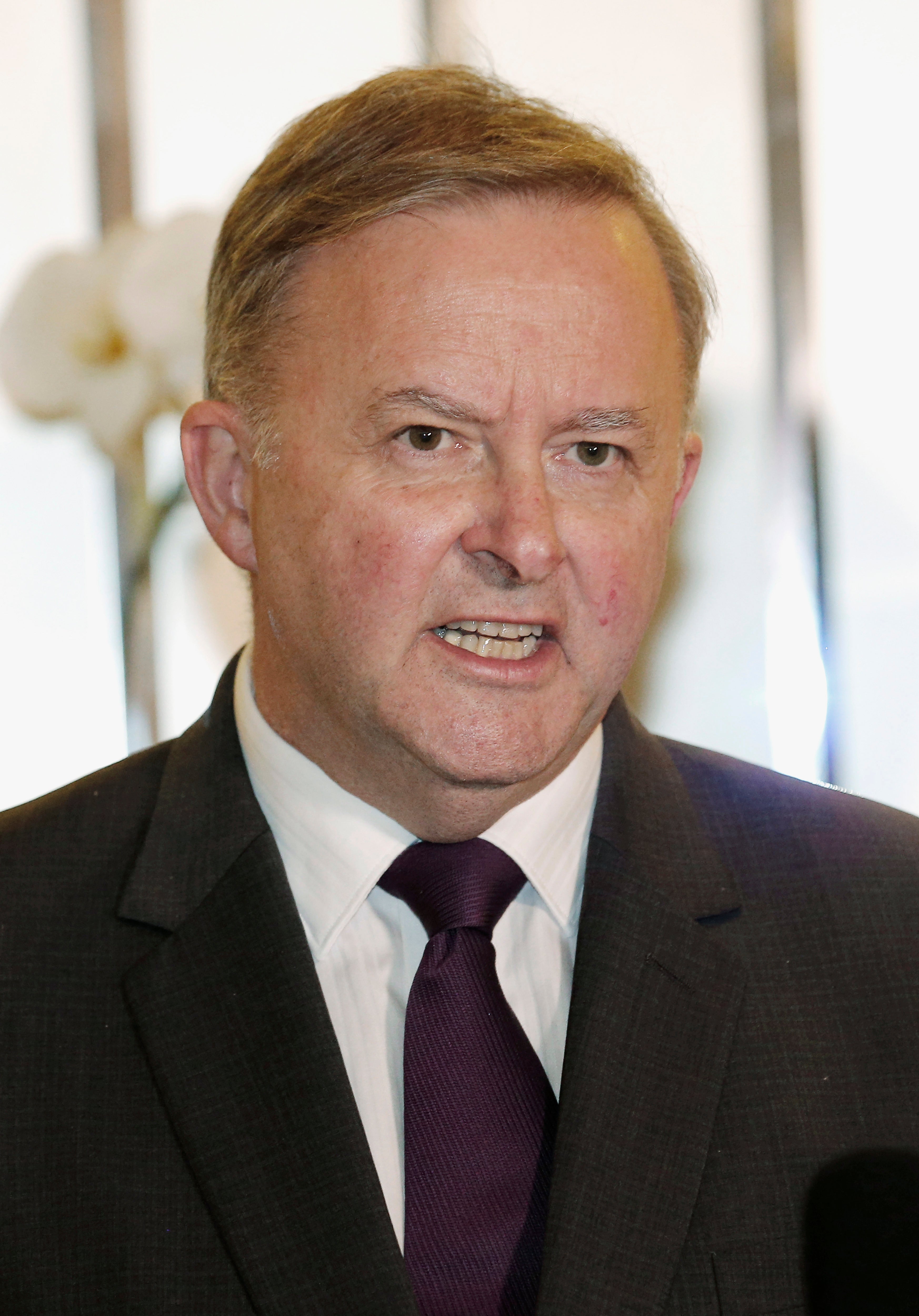 Australia Election Challenger