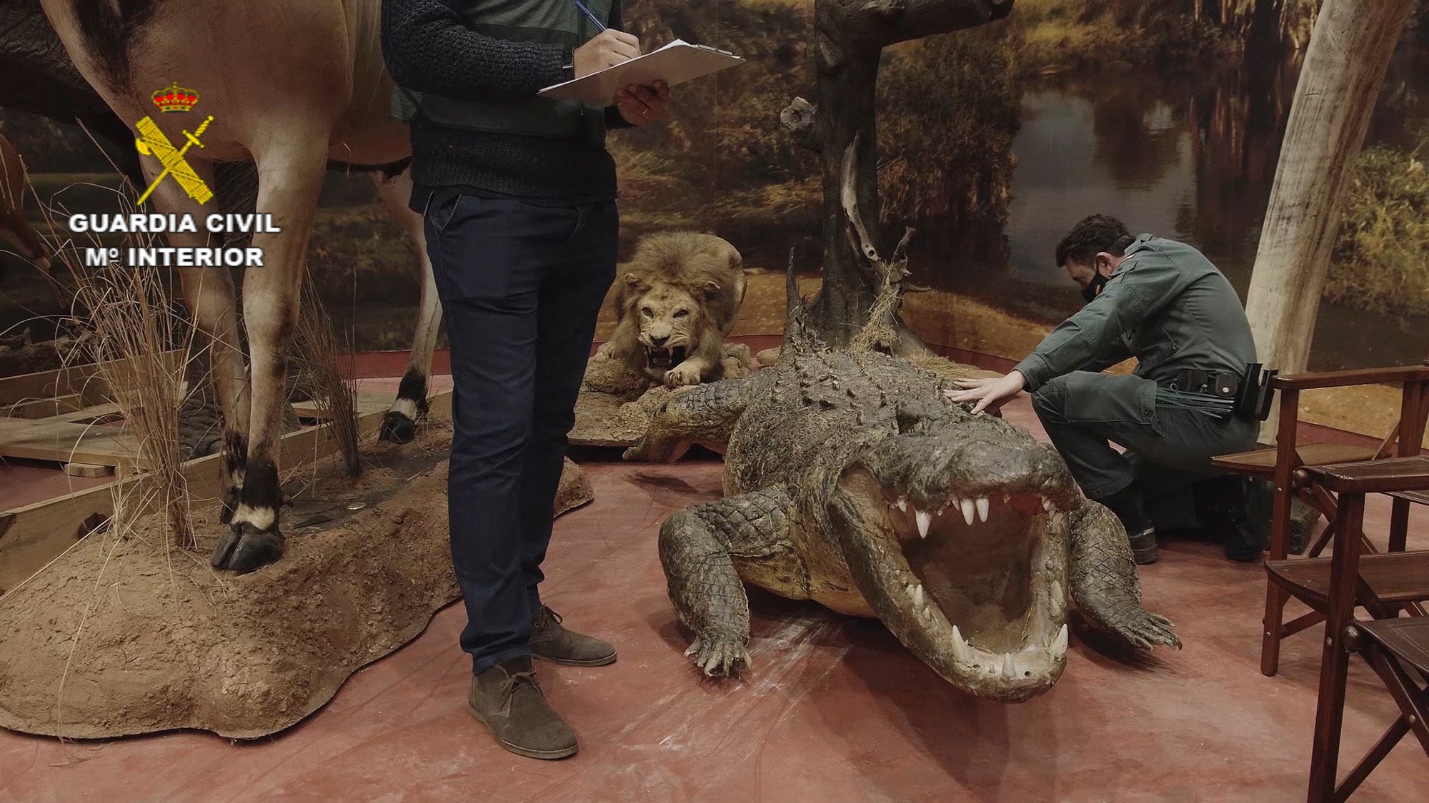 Spain Stuffed Animals