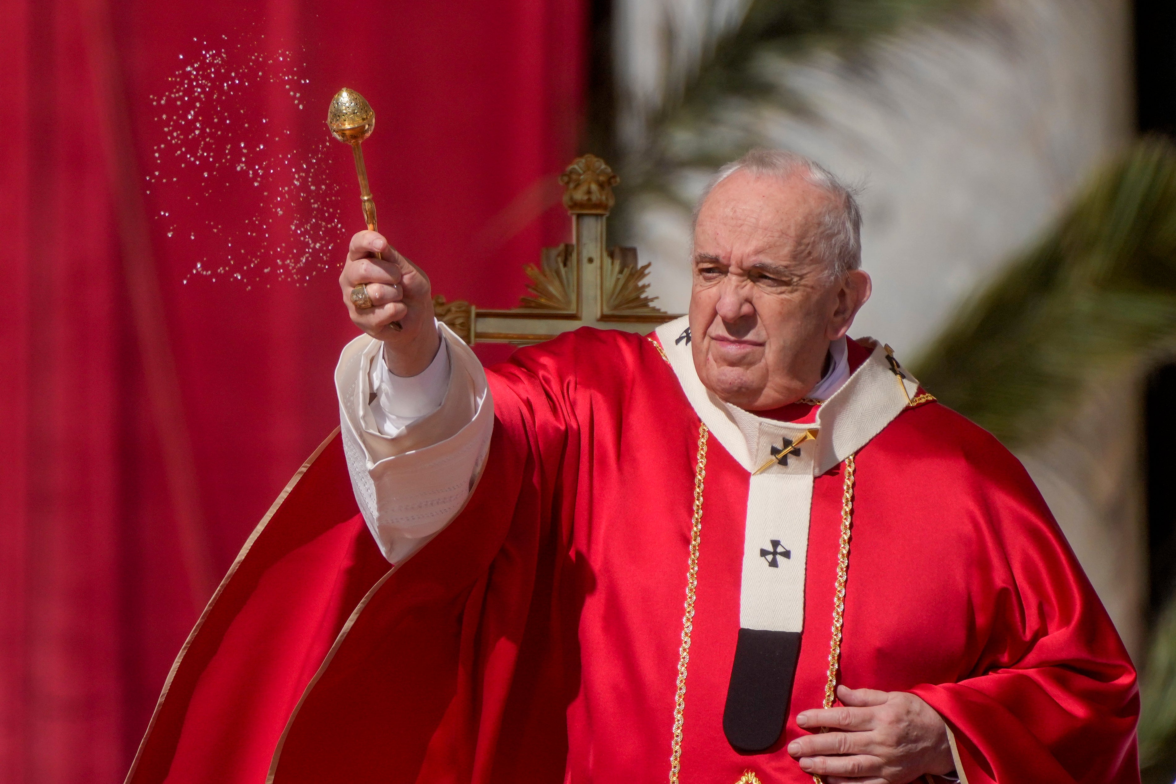 Pope Francis celebrates Palm Sunday Mass in St Peter’s Square (Gregorio Borgia/AP)