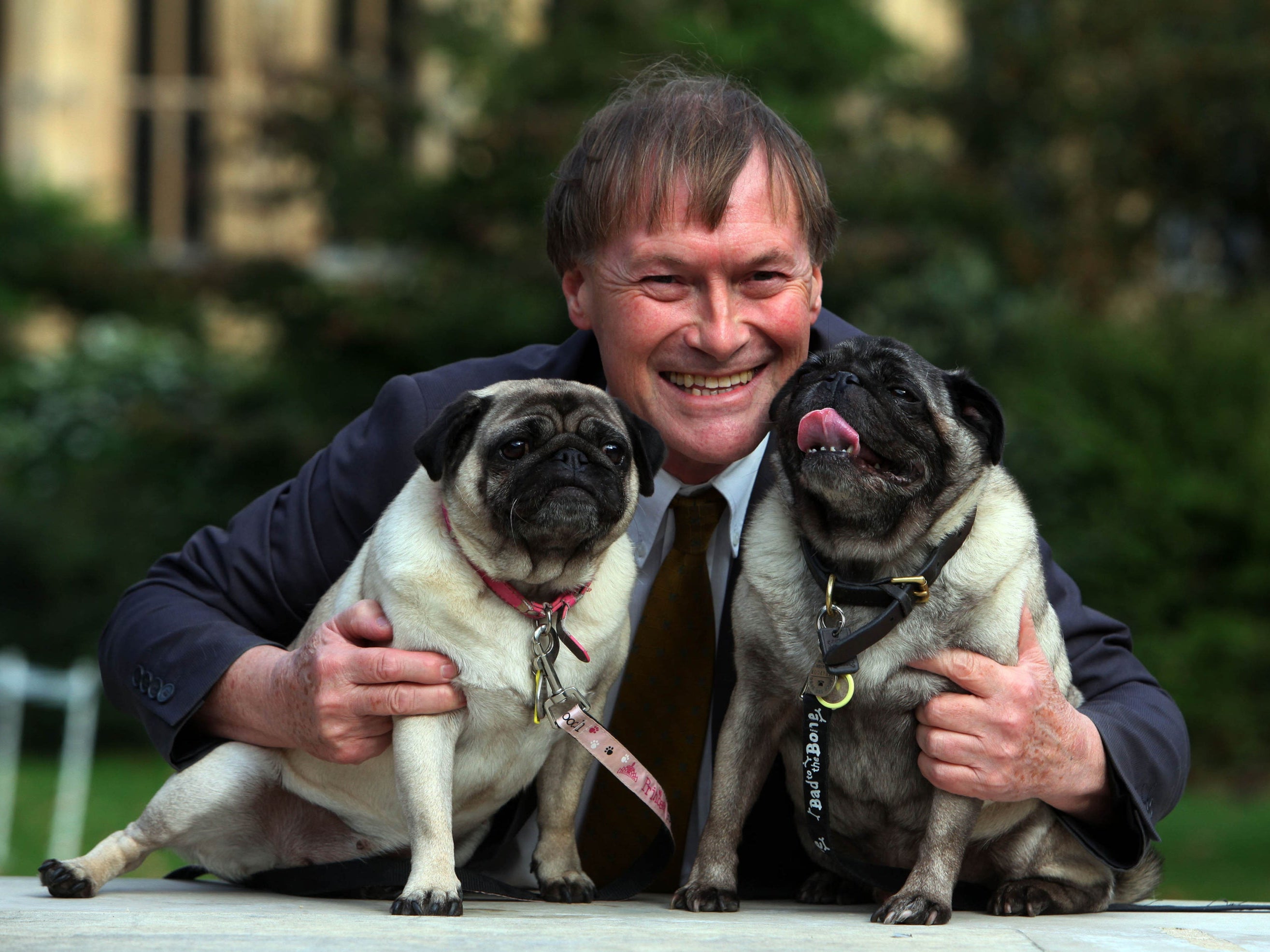 Sir David with his pugs Lily and Boat (Geoff Caddick/PA)