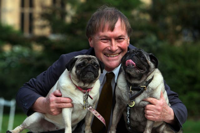 <p>Sir David Amess with his pugs Lily and Boat</p>