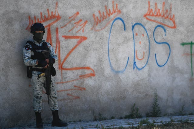 <p>A Mexican soldier stands guard next to some graffitis of the drug trafficker Mayo Zambada (MZ) and the criminal group “Cartel de Sinaloa” (CDS), in Palmas Altas village, Jerez de Garcia Salinas municipality, Zacatecas state, Mexico</p>