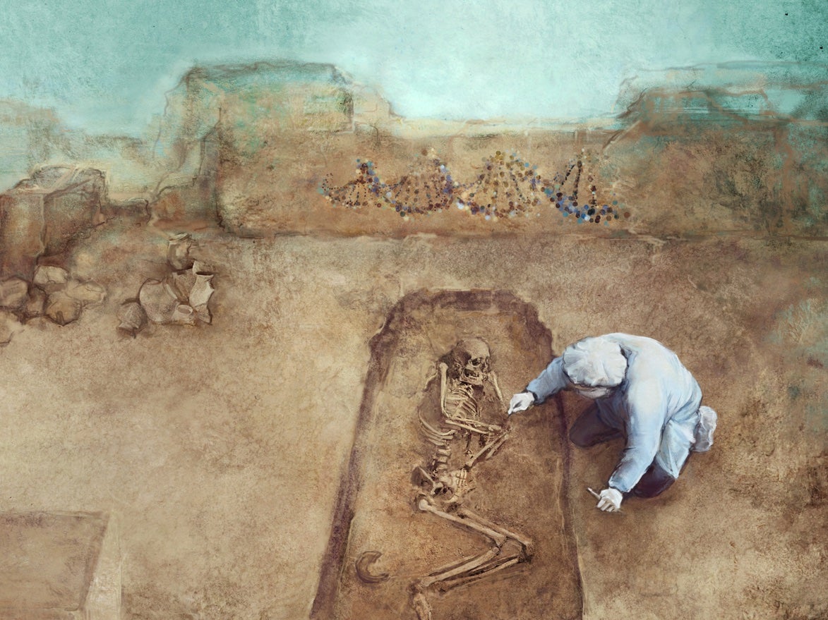 Drawing of a scientist working with human skeletal remains and ancient DNA