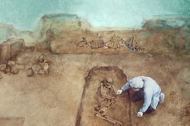 <p>Drawing of a scientist working with human skeletal remains and ancient DNA</p>