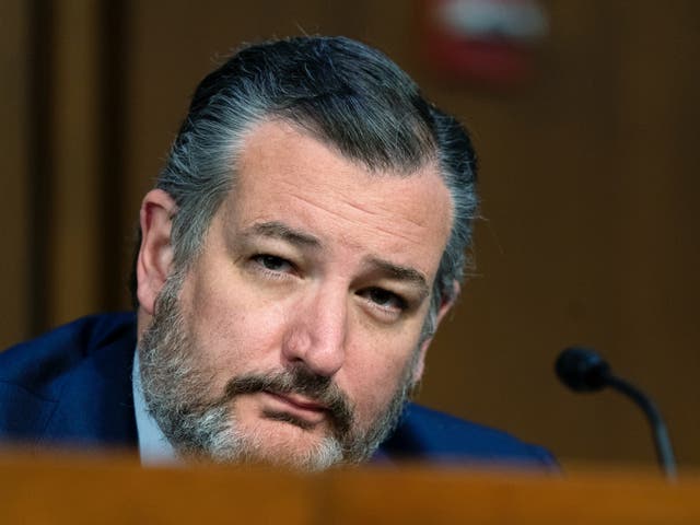 <p>Texas senator Ted Cruz</p>