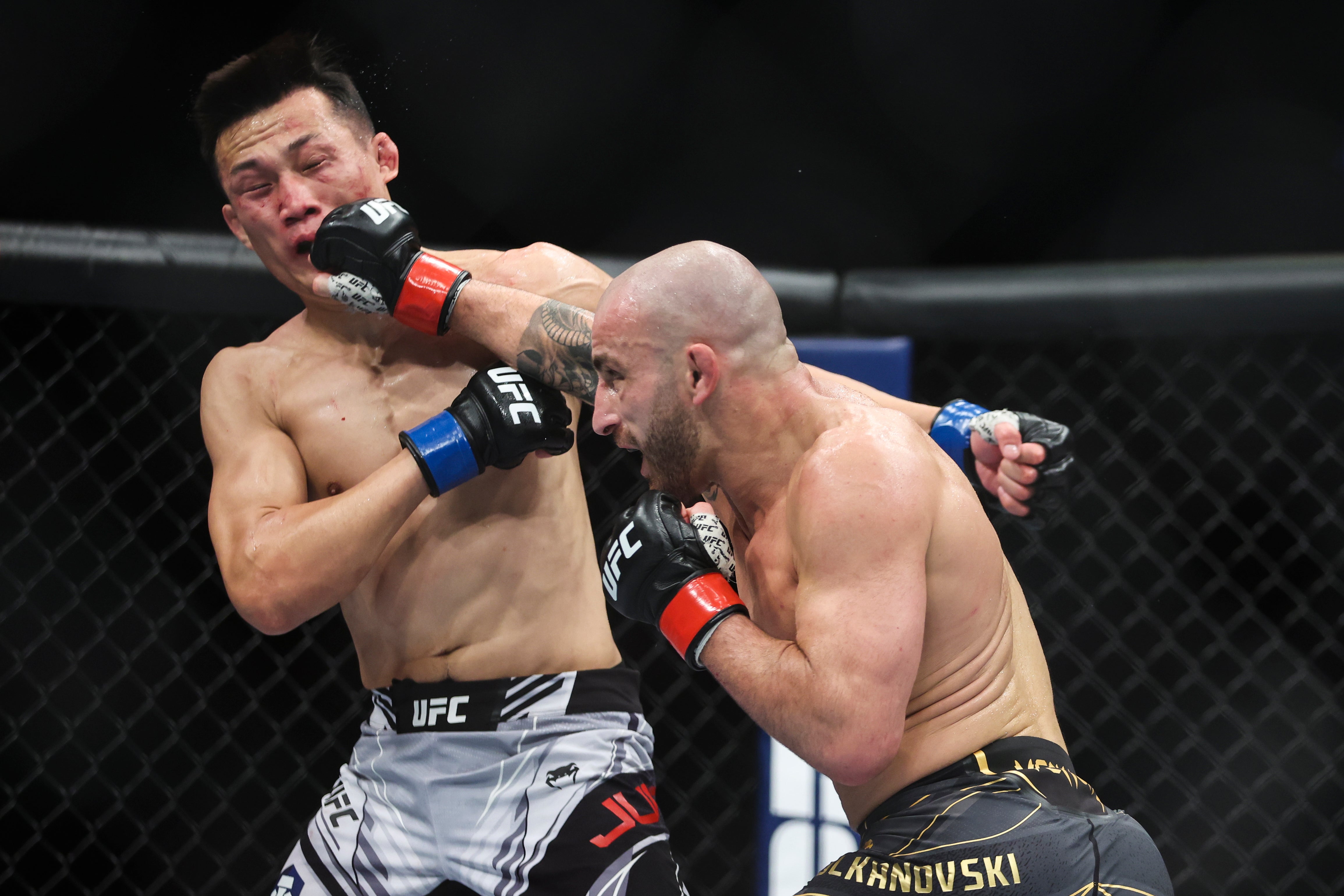 Volkanovski put on a clinic en route to beating Chan Sung Jung via TKO