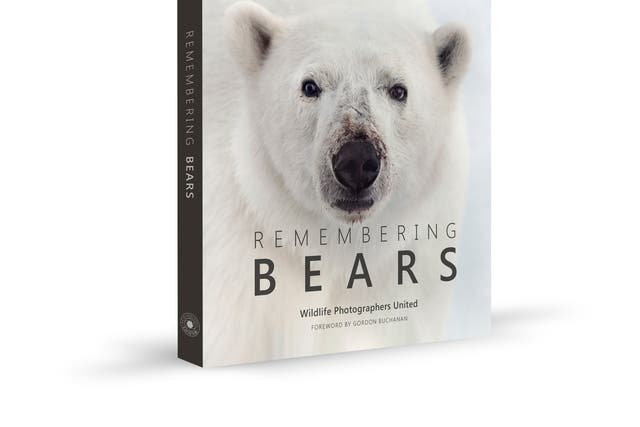 The Remembering Bears book cover. (Morten Jorgensen/Remembering Bears)