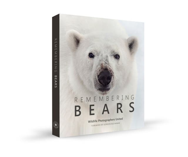 The Remembering Bears book cover. (Morten Jorgensen/Remembering Bears)