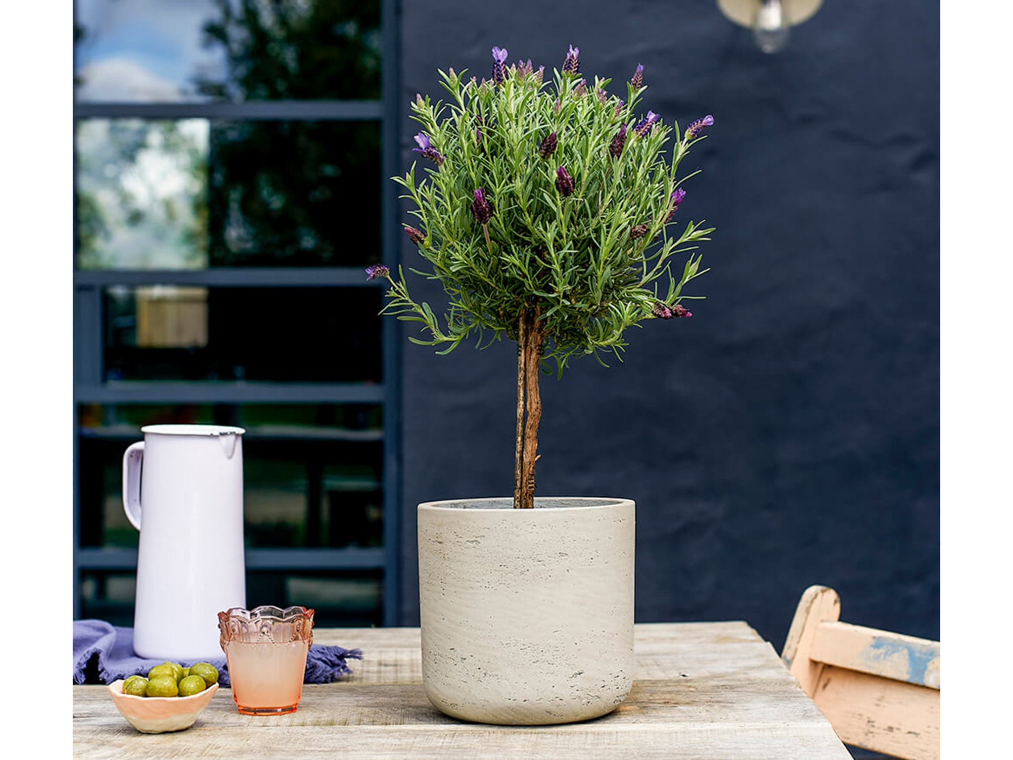 lavender-tree-indybest-pots-for-plants-container-garden