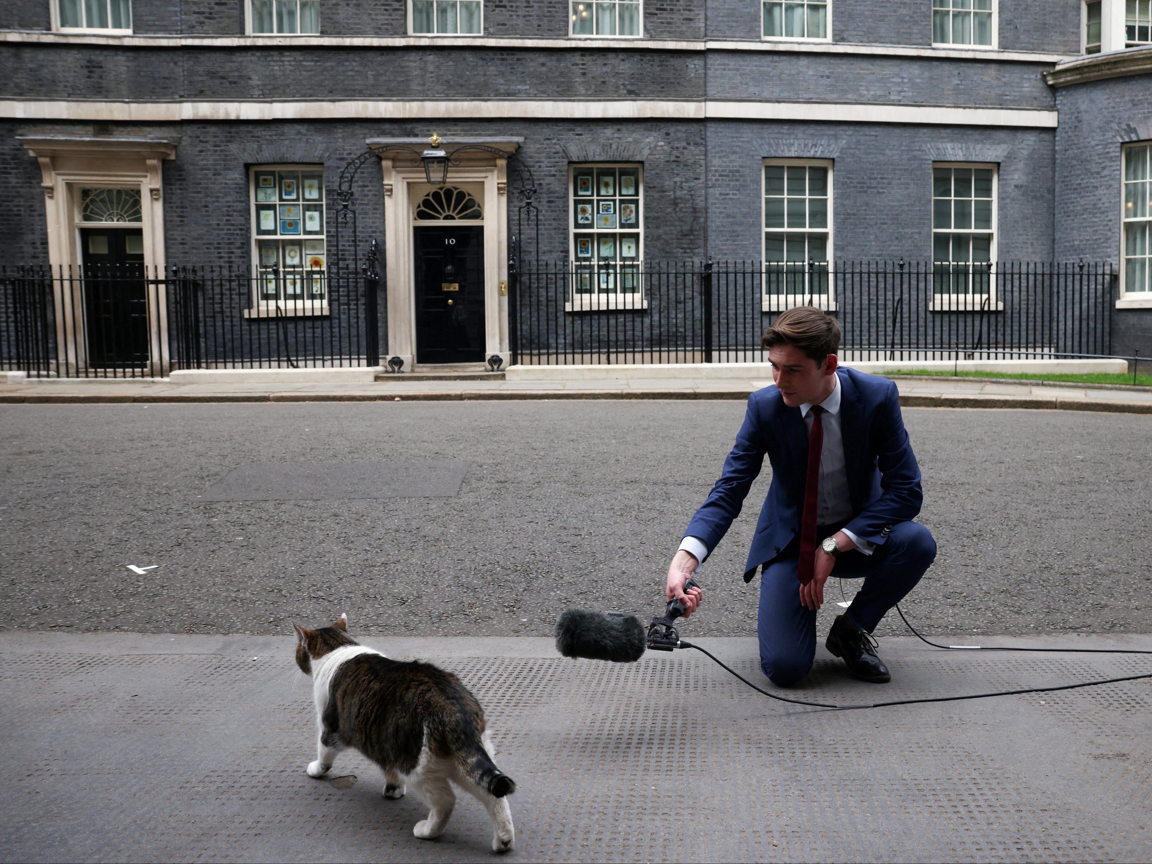 Larry?the Cat has become something of a celebrity figure over the last decade