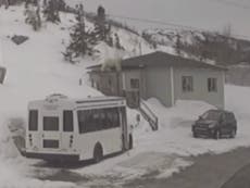 Polar bear almost falls through woman’s roof in Canada