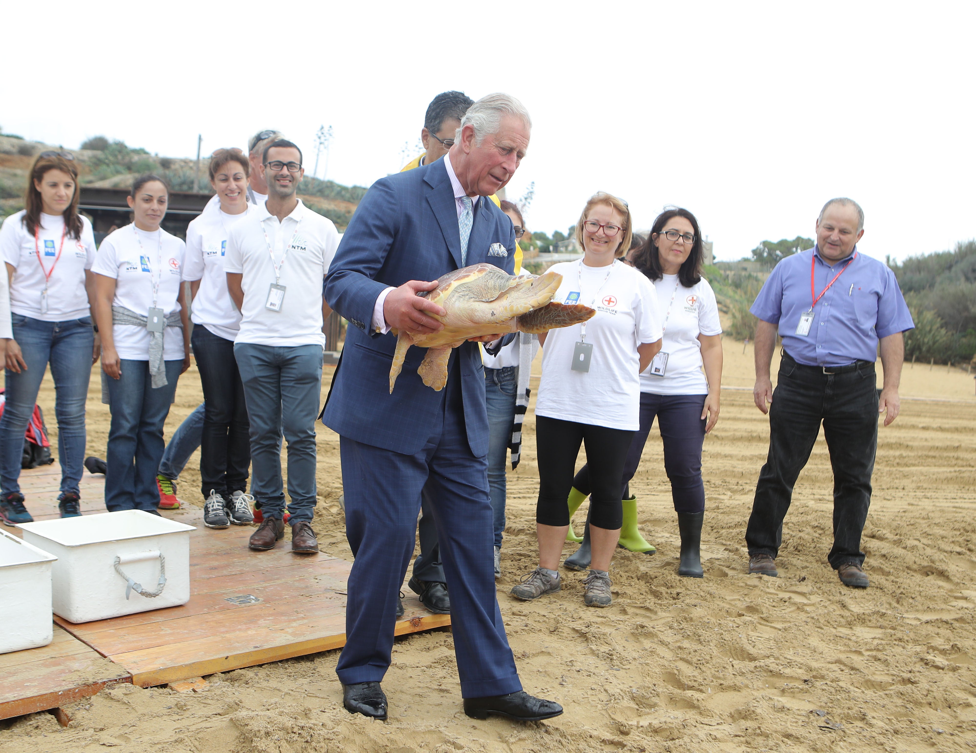 The Prince of Wales releases a rehabilitated turtle into the sea in Malta after during his visit to the 2017 Our Ocean summit (Steve Parsons/PA)