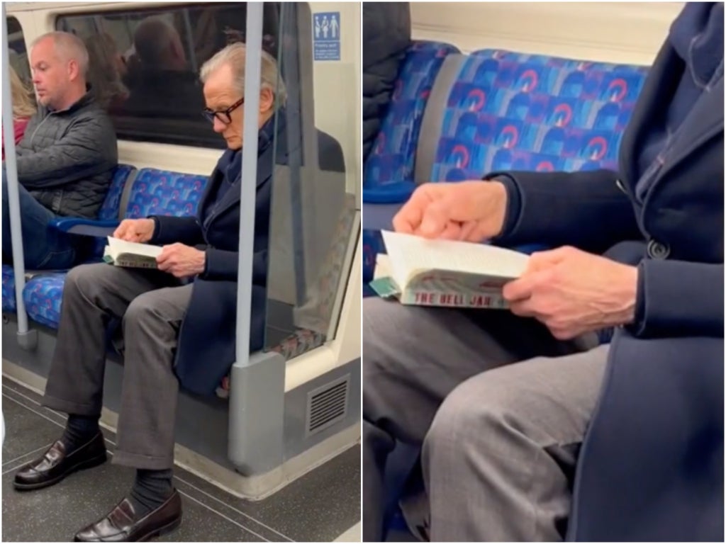 Bill Nighy delights fans as he reads Sylvia Plath on the tube in viral TikTok