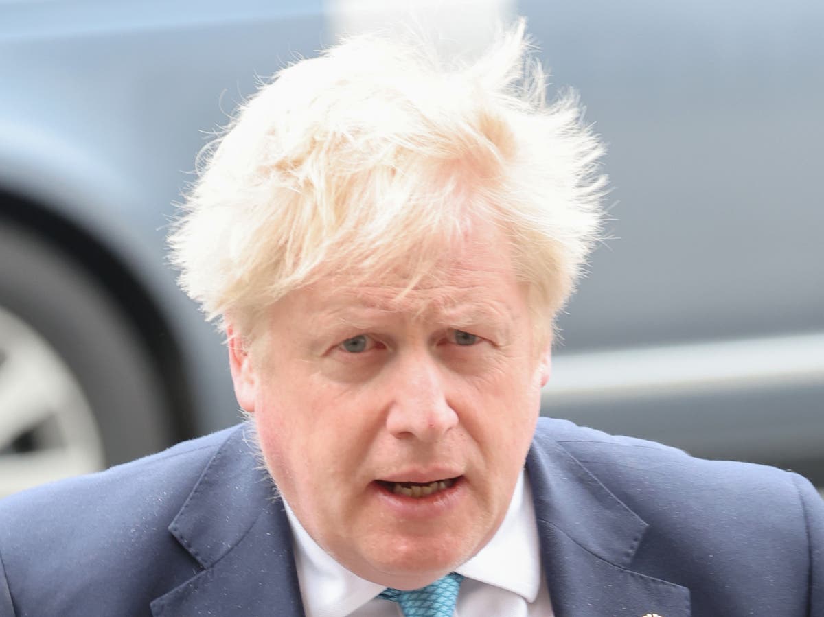 Beastie Boys and The Clash blasted outside Downing Street during partygate protests