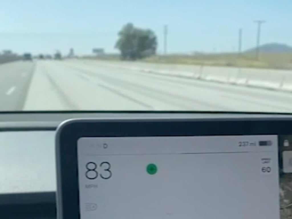 Tesla owner says electric car’s computer error left vehicle stuck at 83mph on freeway