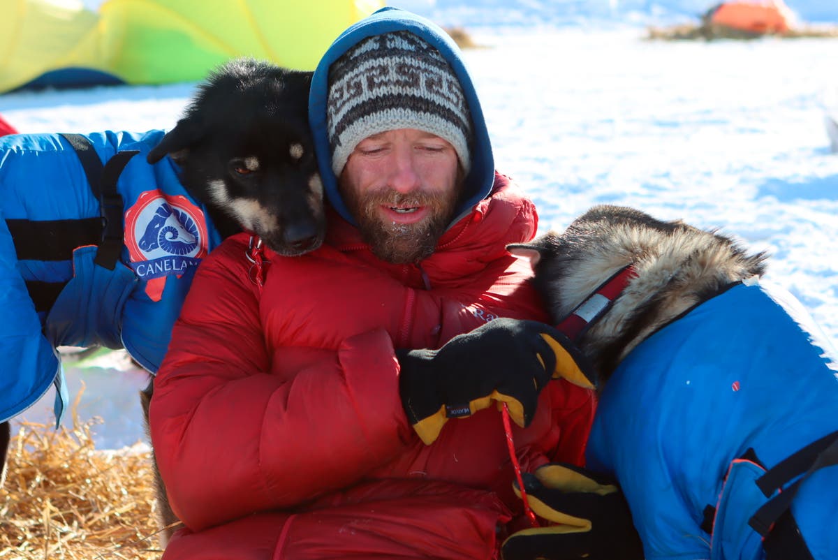 Dogs owned by veterinarian Iditarod, a reality TV star, kill a family ...