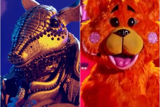 <p>Armadillo and Miss Teddy on The Masked Singer  </p>