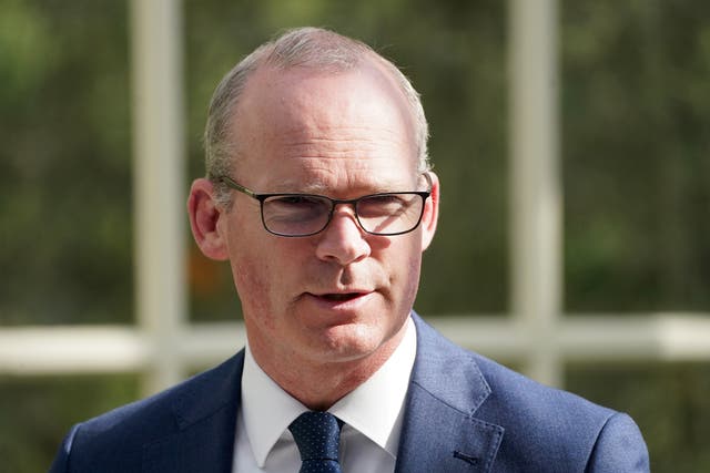 Ireland’s Foreign Affairs minister Simon Coveney is visiting Ukraine (PA)