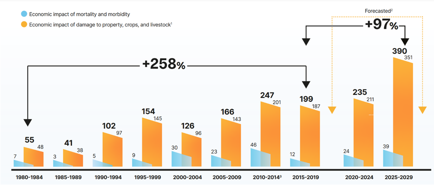 Economic Impact of Natural Disasters