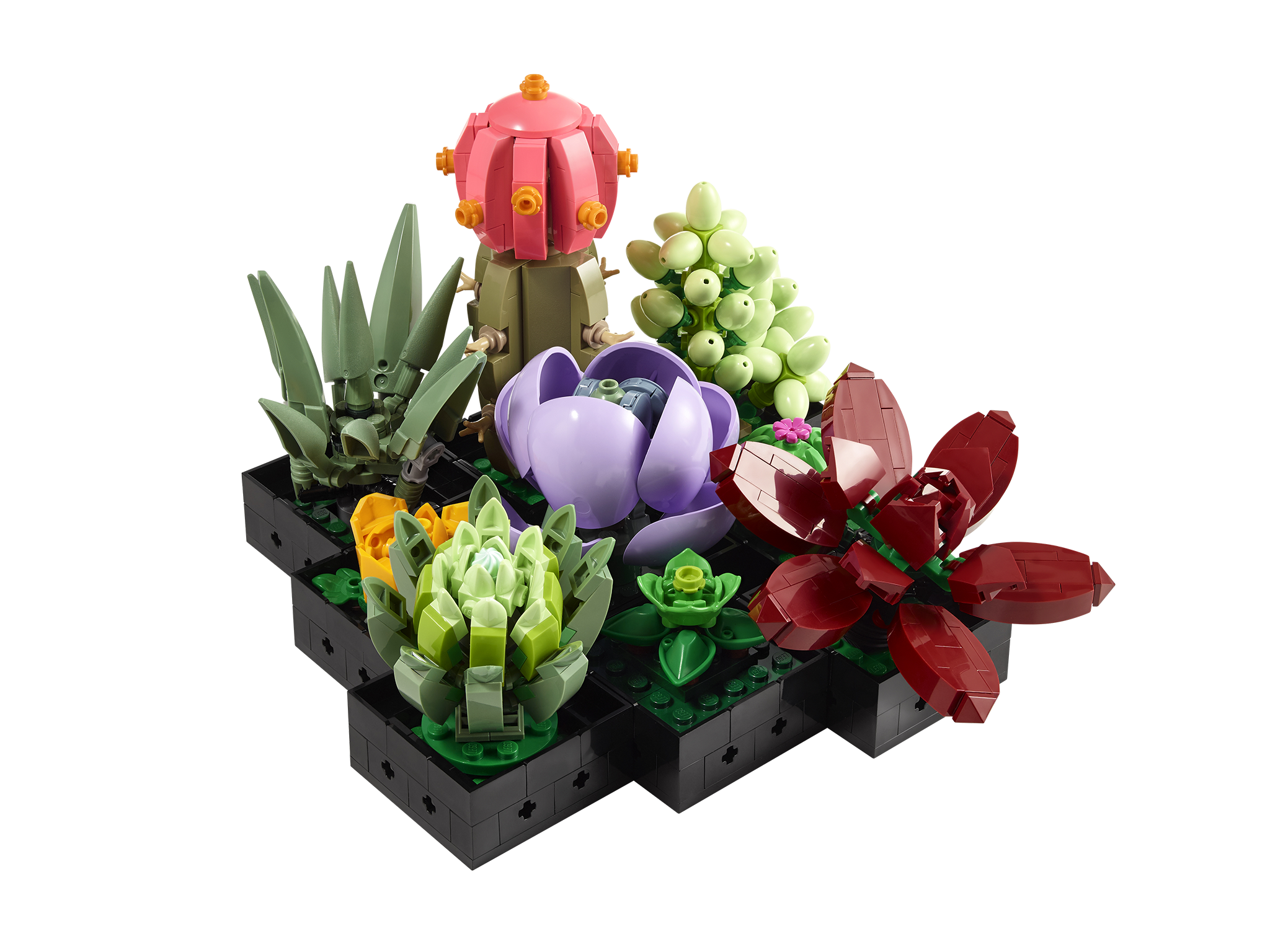 New LEGO Botanicals Review 