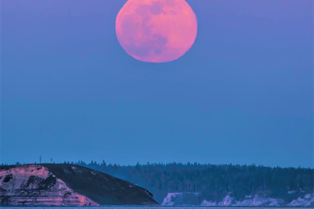 <p>Pink supermoon rising over Protection Island Puget Sound, Strati of Juan de Fuca. This month’s full moon falls on 16 April, 2022 </p>