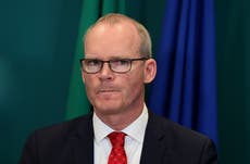 Killing of Ukrainian civilians likely to be war crime, says Coveney