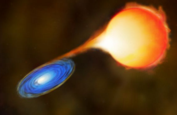 In the binary named Mira, a red giant star transfers mass to a white dwarf.