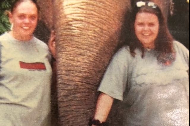 <p>Andrea, left, and Helen with an elephant at the park just before tragedy struck</p>
