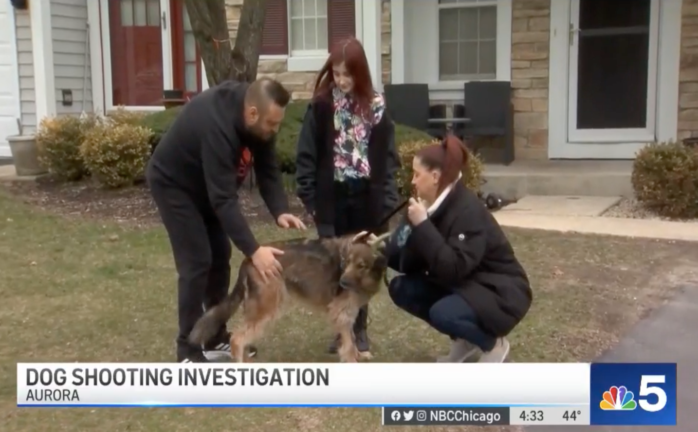 The owner’s of the 8-year-old German Shepherd who was allegedly shot by a neighbour last March pose with Jamo outside their home in Aurora, Illinois.