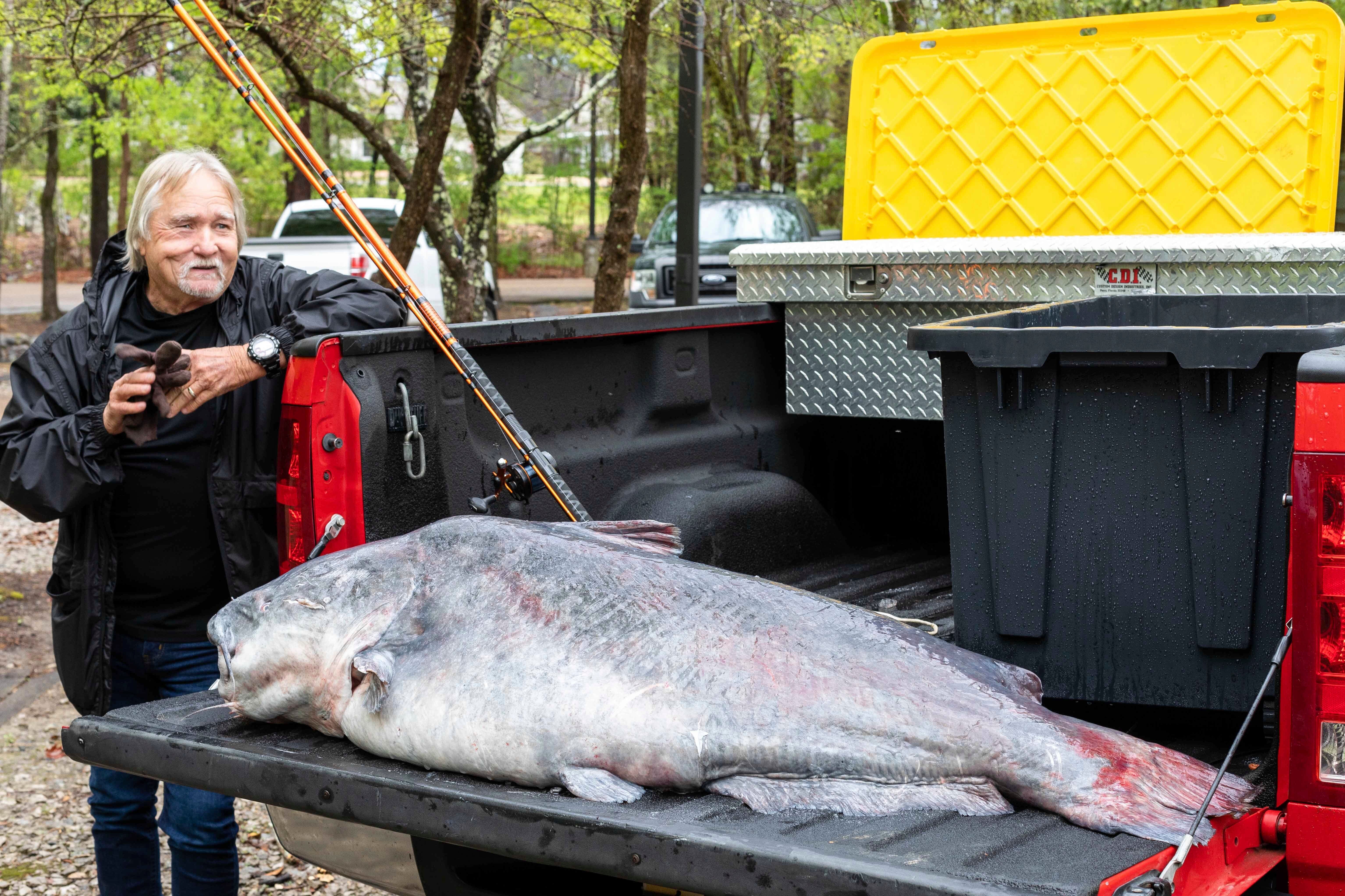 Mississippi Huge Catfish