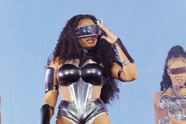 <p>Meghan Thee Stallion made her Coachella debut on Saturday (16 April)  </p>